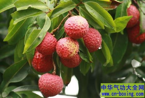 荔枝