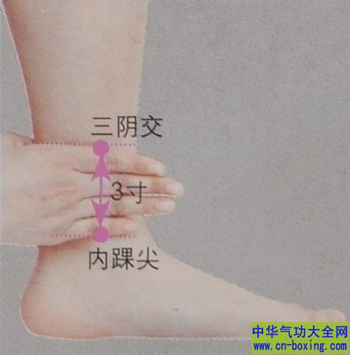 一个穴位搞定调经美容健脾补肾