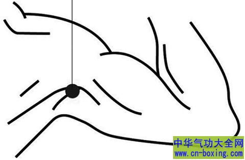 极泉穴