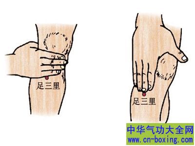 足三里穴
