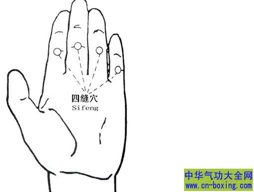 四缝穴