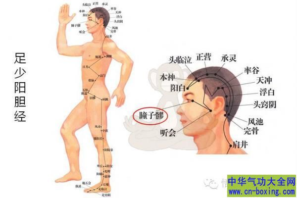 穴道可以自己按压吗？常按有益于身体吗？