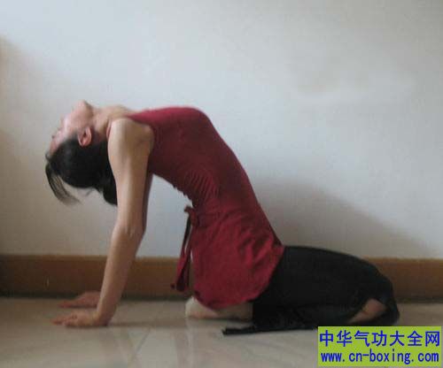 坐着锻炼后背
