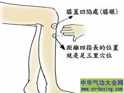 其实想要长寿很简单 每天按压5分钟这个部位