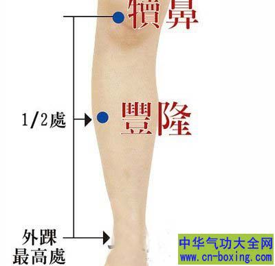丰隆穴：足阳明胃经
