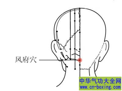 风府穴