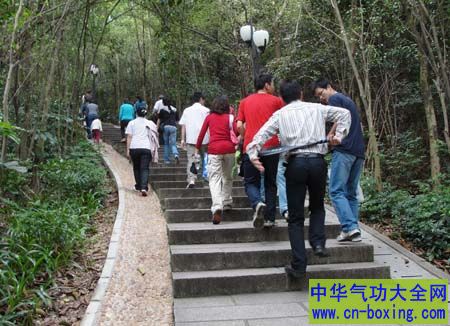 重阳节话养生 重阳节习俗有养生功效