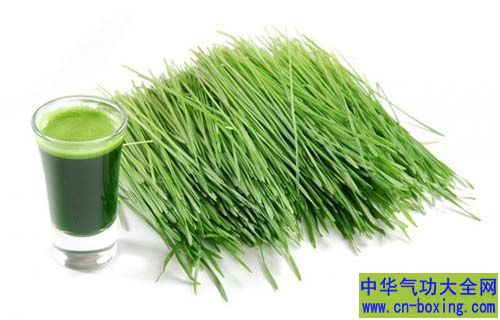 小麦草
