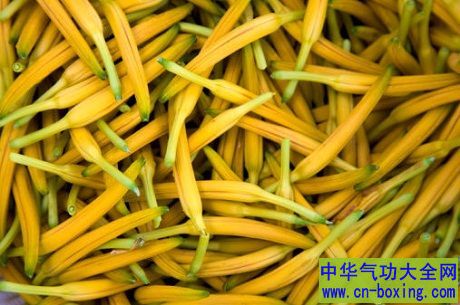 金针花搭木耳 防癌抗癌更给力