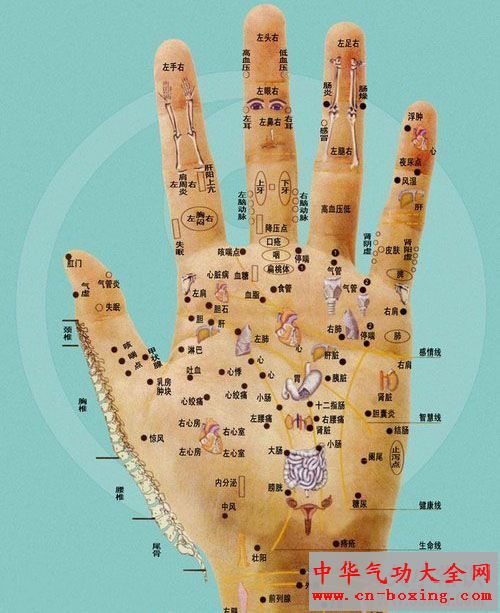 按按你的手 保养五脏六腑
