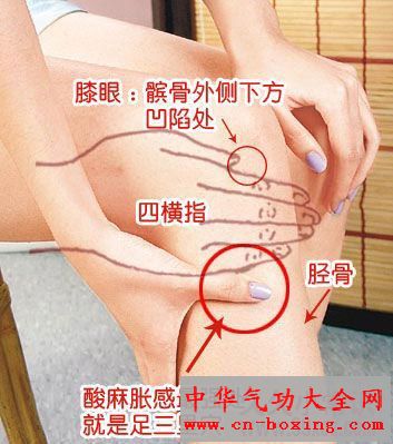 人体有一奇穴 经常按压可抗衰老和长寿