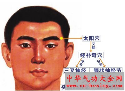 太阳穴