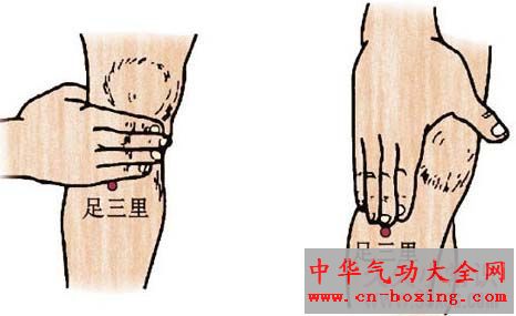 足三里穴 