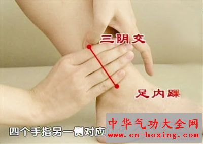 三阴交穴 