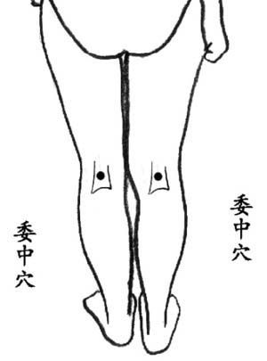 委中穴