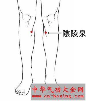 阴陵泉
