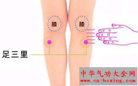 足三里