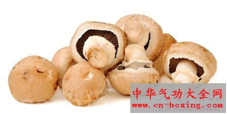 菌类