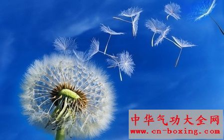 天暖了快来吃春天最佳“排毒草”
