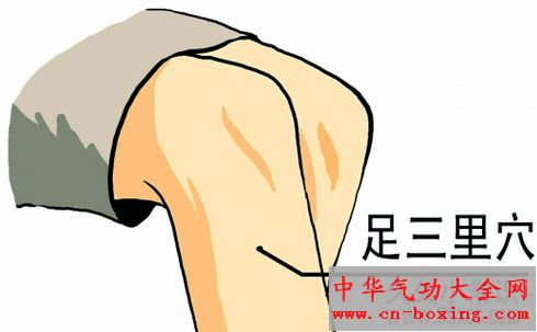 经常按压“足三里”穴位可保护肠胃增进食欲