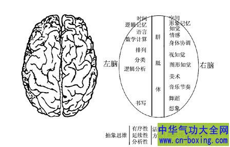 “左撇子”赢的秘密