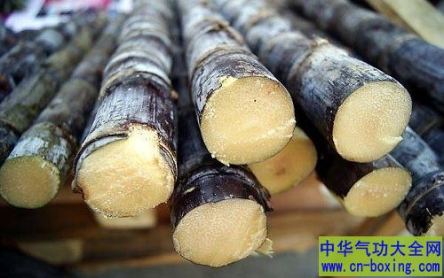 甘蔗霉变后千万不能吃