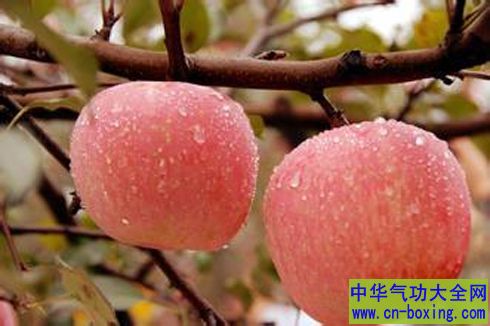 早上空腹吃苹果好吗？哪类人不宜吃苹果
