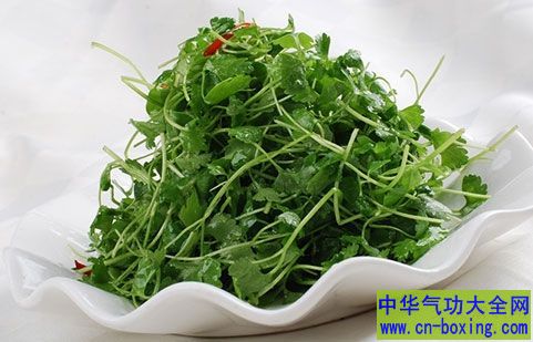 香菜不可以和什么一起吃？记住这些禁忌
