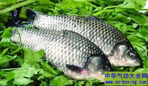 9种鱼最适合冬季食用