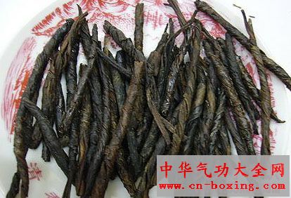 苦丁茶