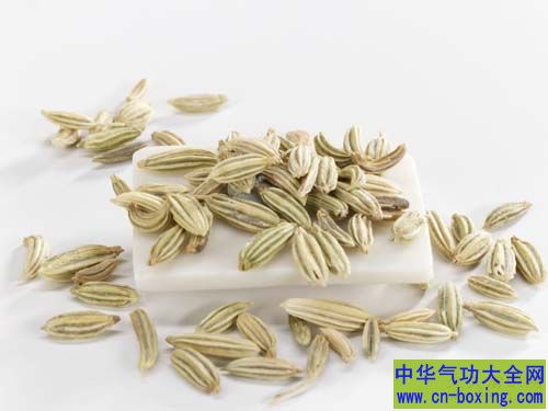 嚼茴香籽或香菜籽助消化