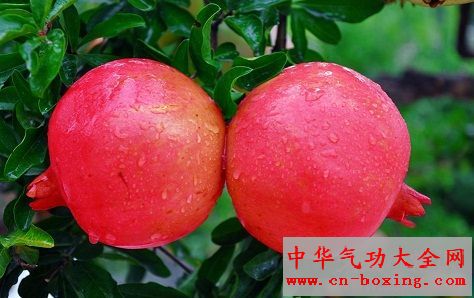 石榴