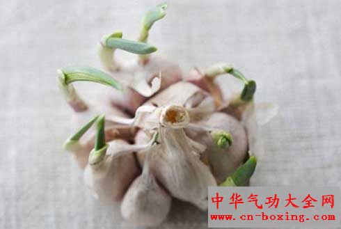 蒜头发芽，更多抗氧化物供你用