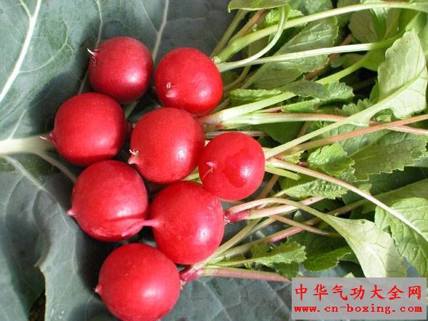 5种冬季最养生的蔬菜 莴苣具有防癌功效