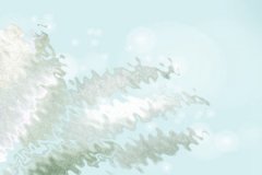 全球十大最佳滑雪胜地之二世谷滑雪区