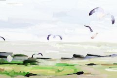 十大攀岩胜地之约书亚树国家公园