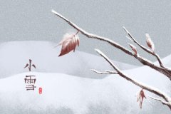 小雪吃什么蔬菜最好 这10种最合适