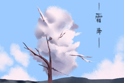 霜降养生适合喝的茶 养生要做到什么 霜降养生适合喝的茶 养生要做到什么