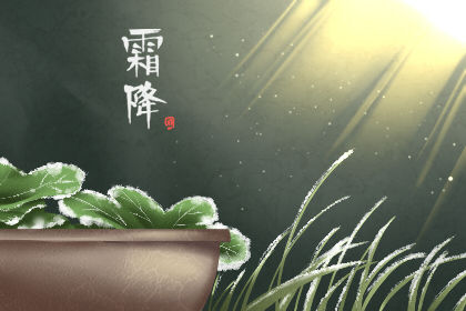 霜降节气吃什么食物 民间必吃特色美食