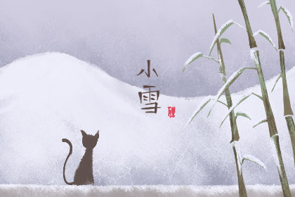 小雪养生 如何养生保健 小雪养生 如何养生保健