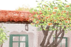 福建十大名茶 毛蟹茶