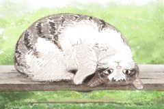 湖南长沙十大美食小吃之龙脂猪血