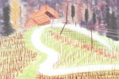 适合孕妇吃的无糖水果有哪些