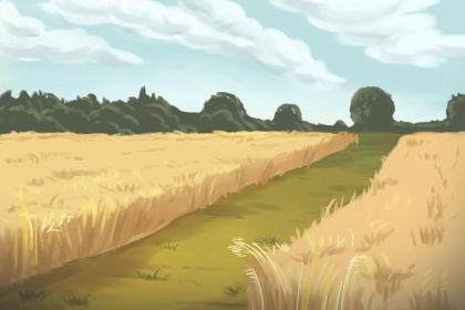 饮食文化 饮食文化