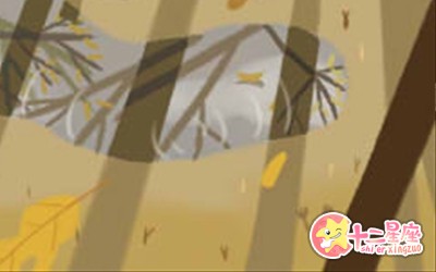 星座星象