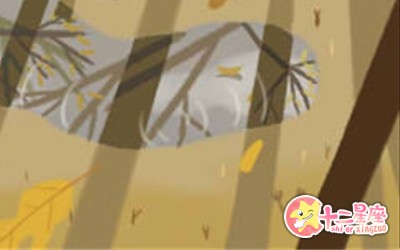 星座星象