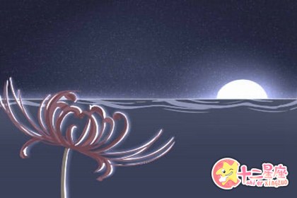 2019年1月6日日偏食 要怎么观测