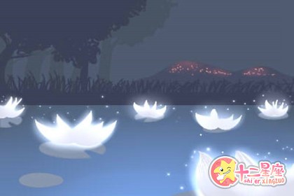 2019年1月6日日偏食 要怎么观测