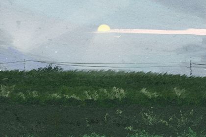 英仙座流星雨2020 在哪里可以看到