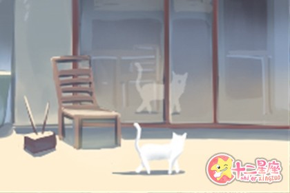 十二金星逆行美女排行，你排行第几？